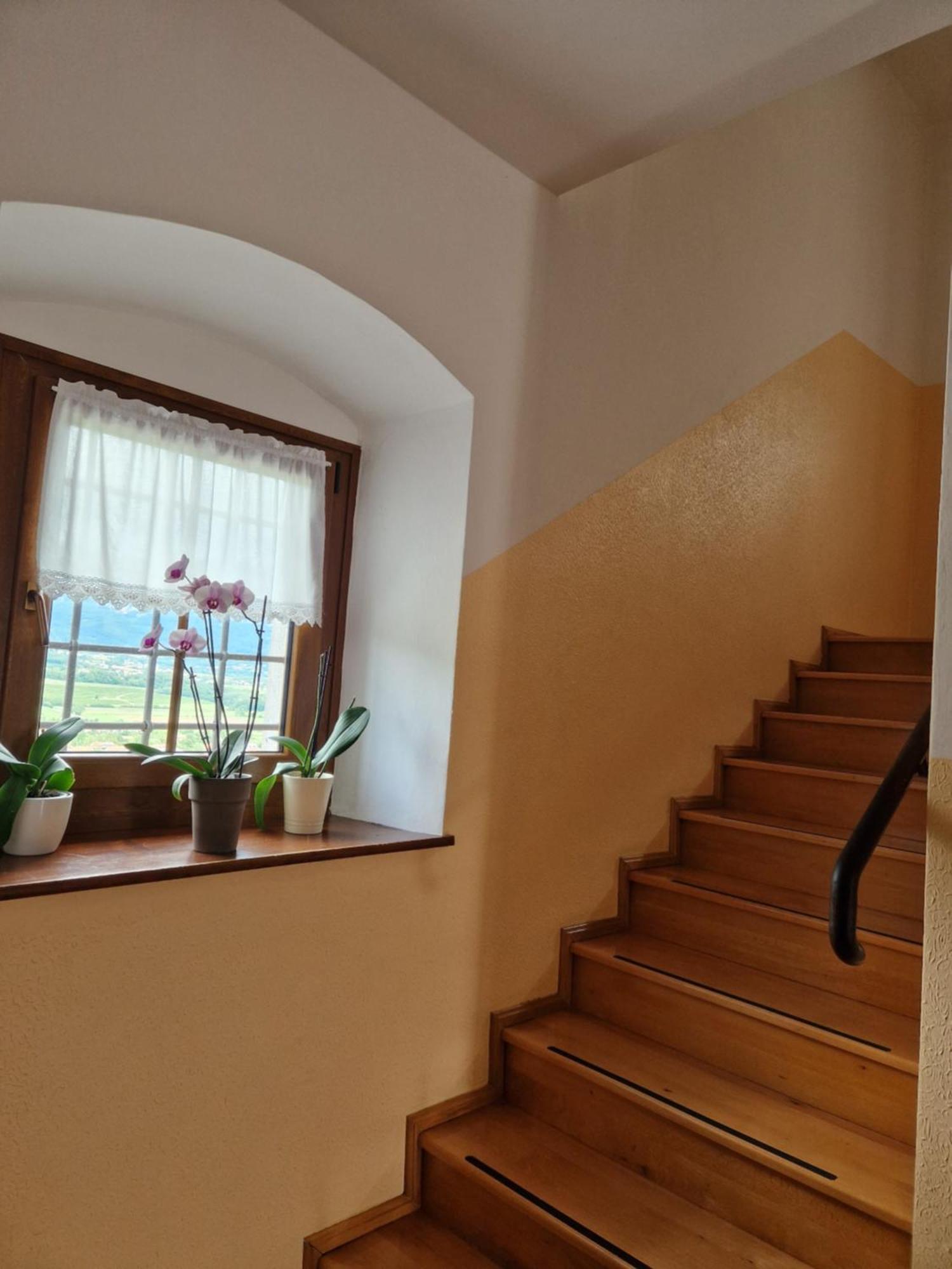 Apartma In Soba Vipavski Kriz อายดอฟช์ชีนา ภายนอก รูปภาพ